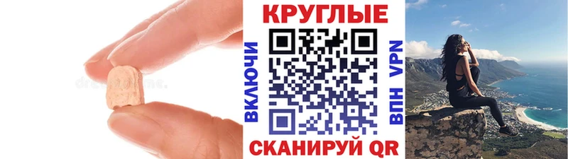 omg рабочий сайт Ишим ЭКСТАЗИ Philipp Plein