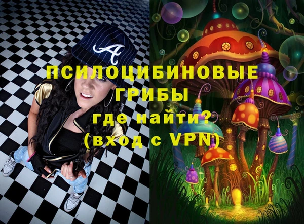 ПСИЛОЦИБИНОВЫЕ ГРИБЫ Остров