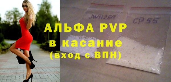 индика Осинники
