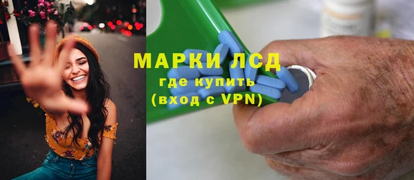 индика Осинники