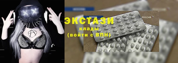 индика Осинники