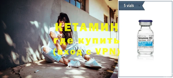 индика Осинники