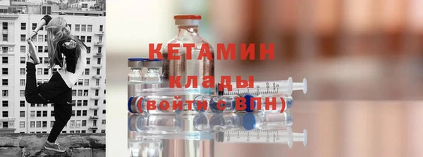 индика Осинники