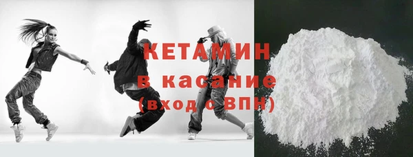 индика Осинники