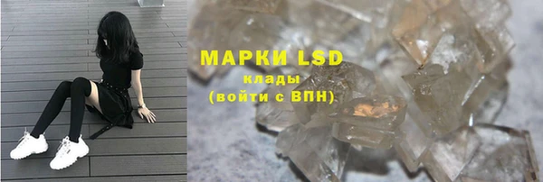 индика Осинники