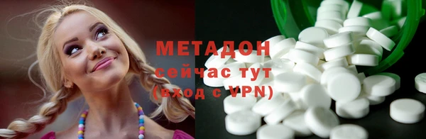 индика Осинники