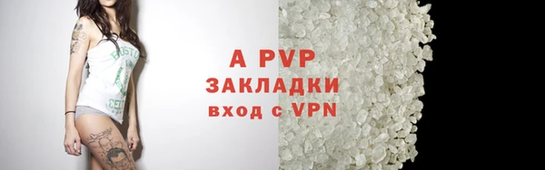 индика Осинники