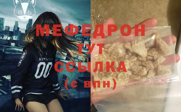 индика Осинники