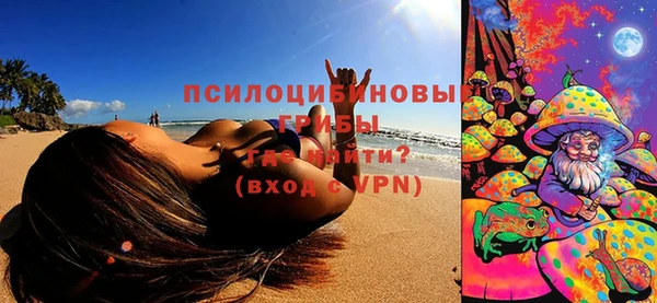ПСИЛОЦИБИНОВЫЕ ГРИБЫ Остров