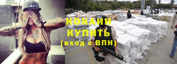 индика Осинники
