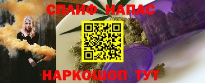 крисы Гай