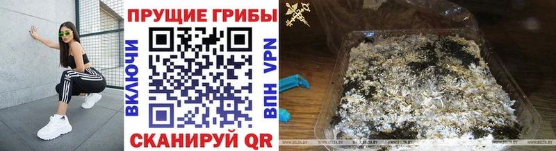 Галлюциногенные грибы Magic Shrooms  Ишим 